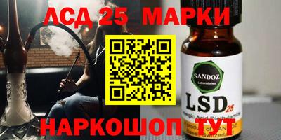 гашик Жуковский